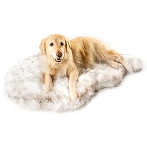 PupRug Orthopedic Dog Bed for Large Dogs with Fluffy Soft Faux Fur and Memory Foam for Joint Pain Relief, Machine Washable and Waterproof Couch Bed, White with Brown Accents, Large/Extra Large