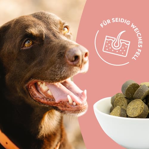 HELLOBELLO Kaltgepresste Haut & Fell Drops für Hunde 2X 350g mit B-Vitaminen & Omega 3 - Glänzendes Fell für Hunde - Für glänzendes Fell Hund, Hautprobleme Hund