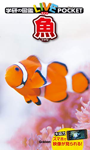 魚 学研の図鑑ＬＩＶＥ（ライブ）ポケット