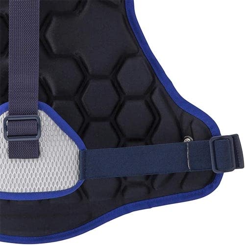 MIZUNO(ミズノ) 野球 軟式用プロテクター ブルー×シルバー 6枚目