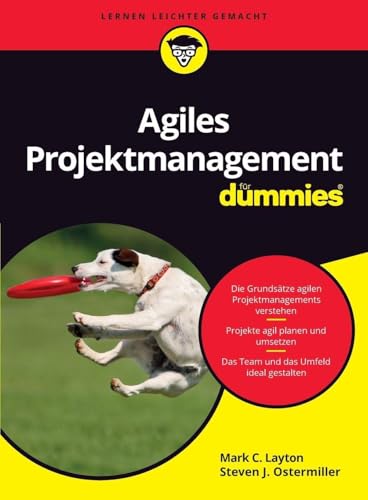 Agiles Projektmanagement für Dummies