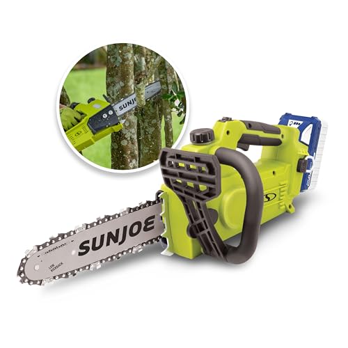 Sun Joe Cordless Chain Saw Machine, Battery and Charger, Wood Cutting Tool Kit, 10 Inch, 600W Motor - Heavy-Duty Trimming Equipment for Tree Trunks, Limbs, Logs, Brush, and Branches, 24V-10CS