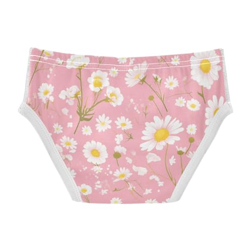 KLL FLOWERs Pink Background Toddler Boy Soft Underwear Briefs Cute Undies2
