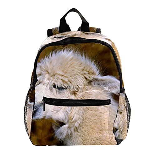 Sac à dos pour filles et garçons alpaga 30,5 cm ergonomique léger