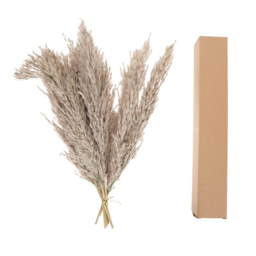 Ramo de flores secas decorativas con caja 15 piezas miniatura 5