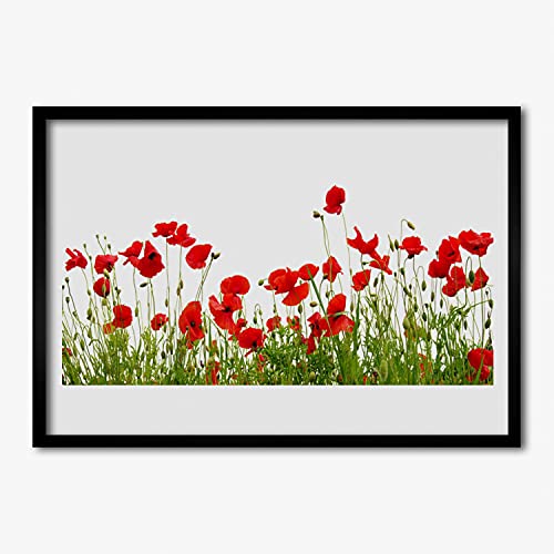 Affiche avec cadre de qualité supérieure motif maki nature mdf 70x50