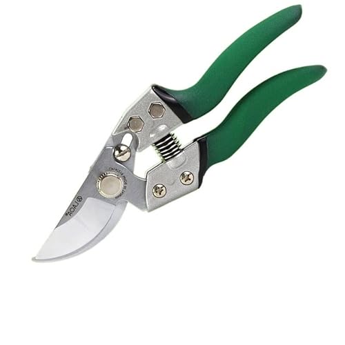 Cesoie da giardino Forbici per bonsai Forbici da potatura Strumenti per la raccolta della frutta affilati Cesoie per rami Cesoie per fiori Attrezzi da giardinaggio Attrezzi da giardinaggio