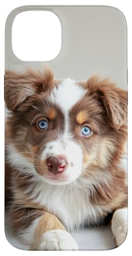 Cuccioli di cane Aussie. Custodia per iPhone 14 Plus Aussie Cucciolo Australian Shepherd