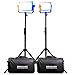 Dracast Plus Series LED500 Bi-Color LED 2 Light Kit with V-Mount and Gold Mount Battery Plates and Light Stands