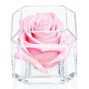 A 100% Real Rose That Lasts A Year – The Perfect Unique Gift for Women and Men, an Anniversary Gift, A Birthday Gift – White Gold Solo with Swarovski Crystal (Light Pink)