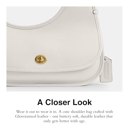 Coach Cashin Carry Crescent Bag4