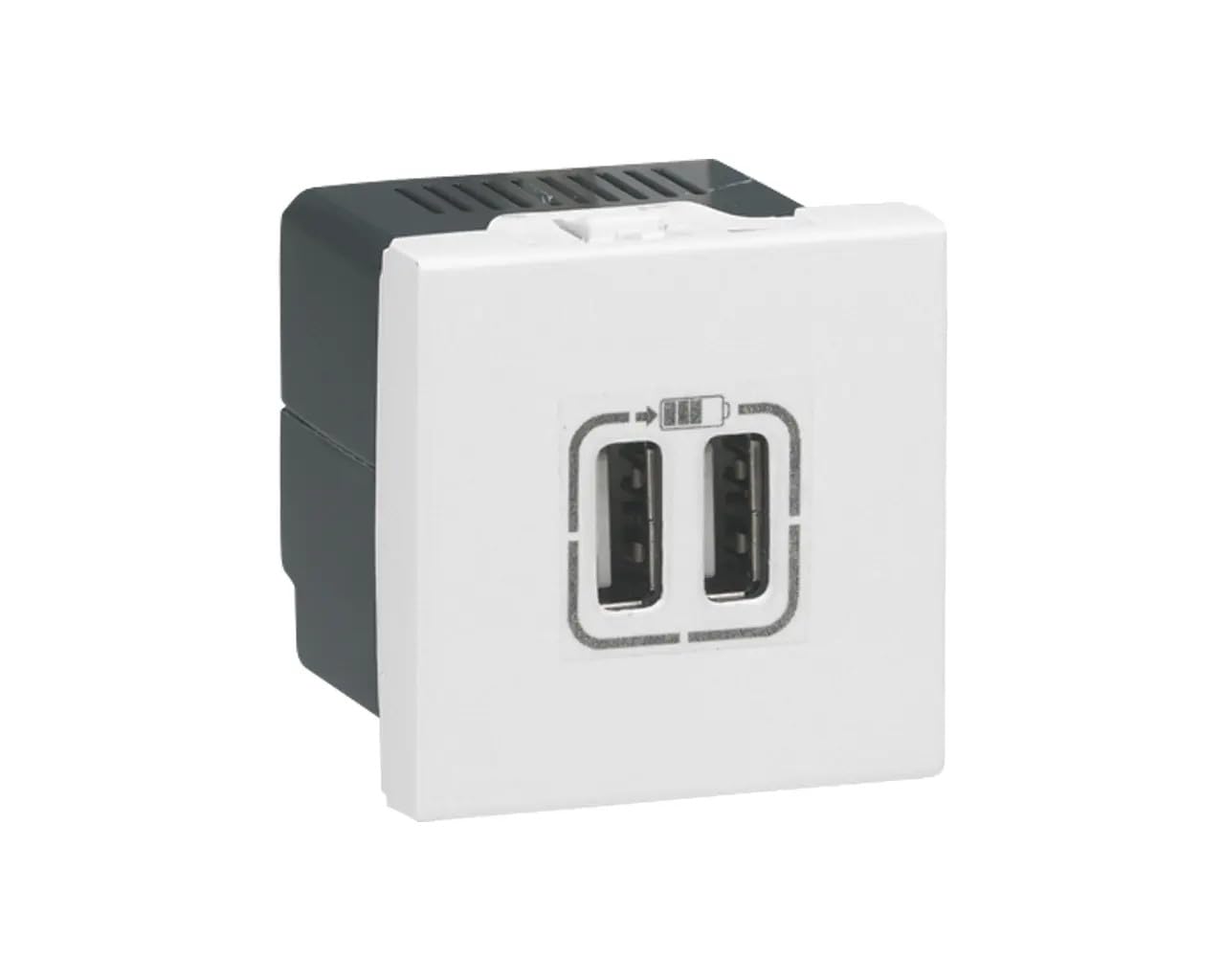 Legrand 077594 Mosaic USB Chargeur, Type-​A, 2.4A, 12W, 2 Module, 230V ou 5V, Blanc