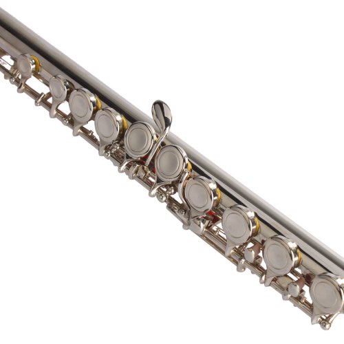 Closed Hole Flute,C Flute,Nickel Plated Beginner Flute Concert Band With E Key With Case, Cleaning Kit,Musical Instrument For Kids, Nickel Student Flute (Silver B) #TOP6