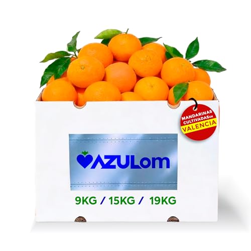 MANDARINAS FRESCAS DE VALENCIA DIRECTAS DEL ARBOL RECIEN RECOLECTADAS - DEL ARBOL A TU MESA SIN TRATAMIENTOS POST COSECHA - CAJAS DE 9, 15 Y 19 KG - FRUTA NATURAL VALENCIANA (19KG)