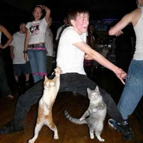 PARTY JUNKIE.mov [Explicit]