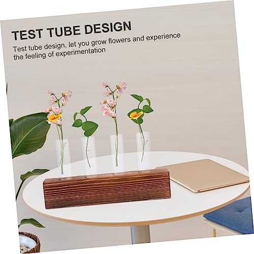 Jarrón hidropónico de vidrio Mobestech para plantas sin ensuciar la mesa 4