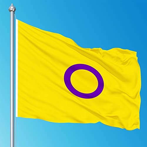 Bandeira do Orgulho Intersexo - Gay Flag Set Cor Vívida e Prova de Desbotamento - Kit LGBTQIA Rainbo