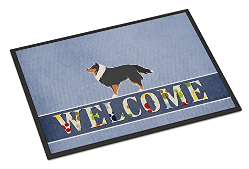 Caroline's Treasures BB5534JMAT Sheltie/Shetland Sheepdog Welcome Doormat 24x36 Front Door Mat Indoor Outdoor Rugs for Entryway, Non Slip Washable Low Pile, 24H X 36W