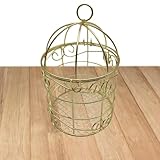 Cadeau pratique : un excellent cadeau pour les amis, la famille, les amoureux, les anniversaires, Noël et autres occasions. Decor est idéal pour ajouter du charme et de la beauté à votre espace de vie.