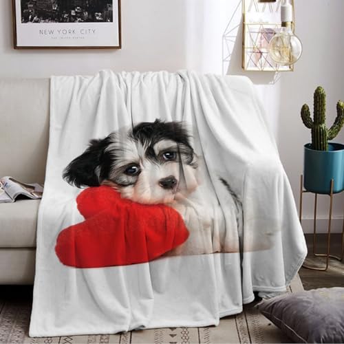 LLTTEER H& Bedruckt Kuscheldecke, Kinderdecke 3D Druck Tier H& Flauschige Plüsch Decke,Wohndecke Fleece Tagesdecke Decke TV Decken für Bett Sofa (Dog 02, 150 x 200 cm)