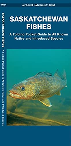 Saskatchewan Fishes: A Folding Pocket Guide To All Known Natuve And Introduced Species (Pocket Naturalist Guide) #TOP14