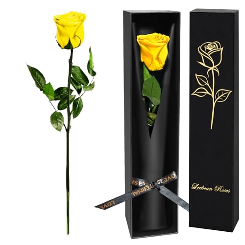 Yellow Forever Rose Leebean