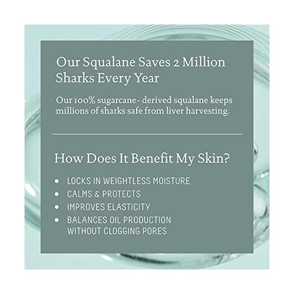 Squalane-Caffeine-Firming-Body-Cream Biossance Squalane + Caffeine Toning Body Cream. Nourishing Body Cream with Caffeine and Niacinamide to Visibly Firm and Tone. Restore Elasticity in a Soft Citrus Scent (6.7 ounces)