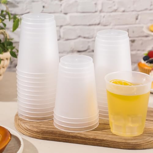 LemonRoad 25 Pcs Frosted Plastic Cups Bulk Blank Clear Disposable Drink Tumblers for Wedding Stadium Painting Marketing Events Home Birthday Party Supplies (12 oz)