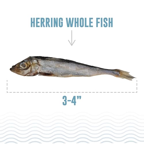 Image of Icelandic+ Whole Fish Herring 9oz Bag, Wild-Caught Air-Dried Dog Treats | Pure Single Ingredient Snack, High Protein & Omega-3 for Healthy Skin, Grain-Free Dental Chews for Dogs and Puppies