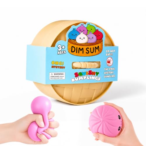 Image of Dumpling Squishies, Dumpling Mystery Box, Colorful Dumplings Stress Balls Fidget Sensory Toy, Stocking Stuffers with Food Steamer Stretchy Desk Toys (Pink)