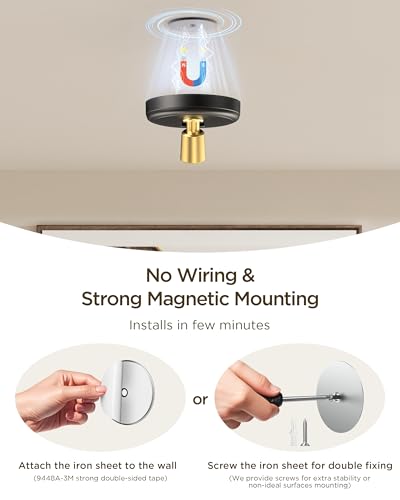 Image of Zetunlo Spot Lights Indoor RGB Spotlight: Rechargeable Color Changing Wireless Uplights Indoor - Plants Tree Artwork Model Picture Display Accent Lighting for Home Decor Homeowners