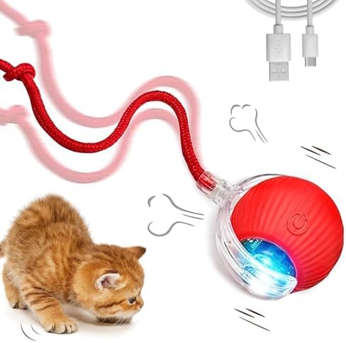 Toerjii Magic Ball Katzenspielzeug - Interaktiver Ball Mit Beweglichem Schwanz