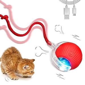 Katzenspielzeug, Geräuscharmes Katzenspielzeug Selbstbeschäftigung, Interaktives Katzenspielzeug mit USB, Intelligente Hindernisvermeidung Katzenspielzeug Elektrisch Ball, Spielzeug für Katzen