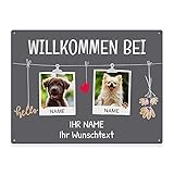 PfotenSchild