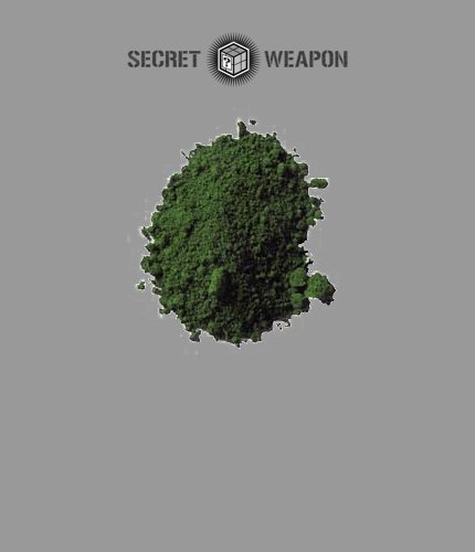 Secret Weapon Pigment Sewage Muck