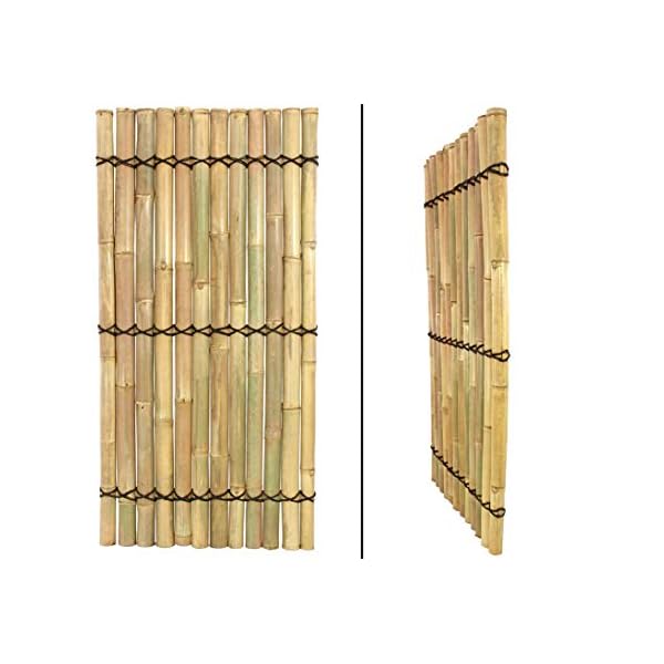 Sichtschutzzaun Bambuszaun Apas5 gelblich mit 180 x 90cm - Bambus Sichtschutzwand aus dicken Bambusrohren 1,8m x 0,9m… – Bild 5