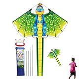 Boys Kite | Colorful Long Tail Comfortable Toy | Easy to Fly Large Single Line Kite,for Outdoor Sports Activity for Parent Boy Girl Family Beginners