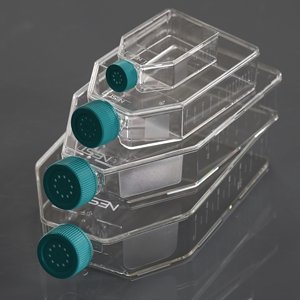 T225 cm2 Cell Culture Flask, Vent Cap, TC, sterile (5/Bag, 25/cs)