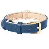 Collier de Chien de Haute Qualité - Idéal pour un usage quotidien ou d'autres activités, donnez à votre animal un look adorable et élégant.