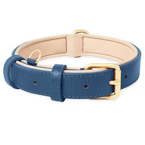 HEELE Collare Cane in Pelle, Imbottitura Morbida Resistente, Collare per Cani di Taglia Piccola, Media e Grande, Blue, M