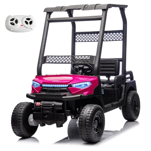 24V 2 Seater Kids Ride on Car, 4WD Golf Cart
