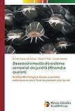 arimar rettungsinsel wartung  Desenvolvimento do sistema sensorial do jundiá (Rhamdia quelen): Análise Morfológica desde o período embrionário até o final do período pós-larval