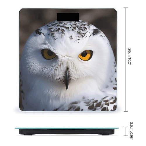 Báscula digital de baño BWQJKUO con diseño de búho miniatura 2