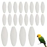 IKOPFLN 20 Pièces Os de Seiche Oiseaux,Os Seiche,Os de Seiche pour Tortue,Os de Seiche Perroquet,Os de Seiche Naturelle,Os de Seiche Jouets à Mâcher,5-7cm