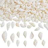 LARGE QUANTITY: You will get 200g(about 700pcs) white natural clam cay sea shells, the quantity depends on their weight and size; each conch shell is about 1.1-2 cm/0.43-0.78 inch, abundant quantity for sharing with your friends. NATURAL MATERIAL: Th...