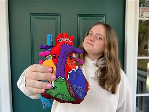 Giant Microbes GMUS-XL-2360 Giantmicrobes Anatomical Heart Plush, Human Heart Model, Heart Anatomy Model thumb #6