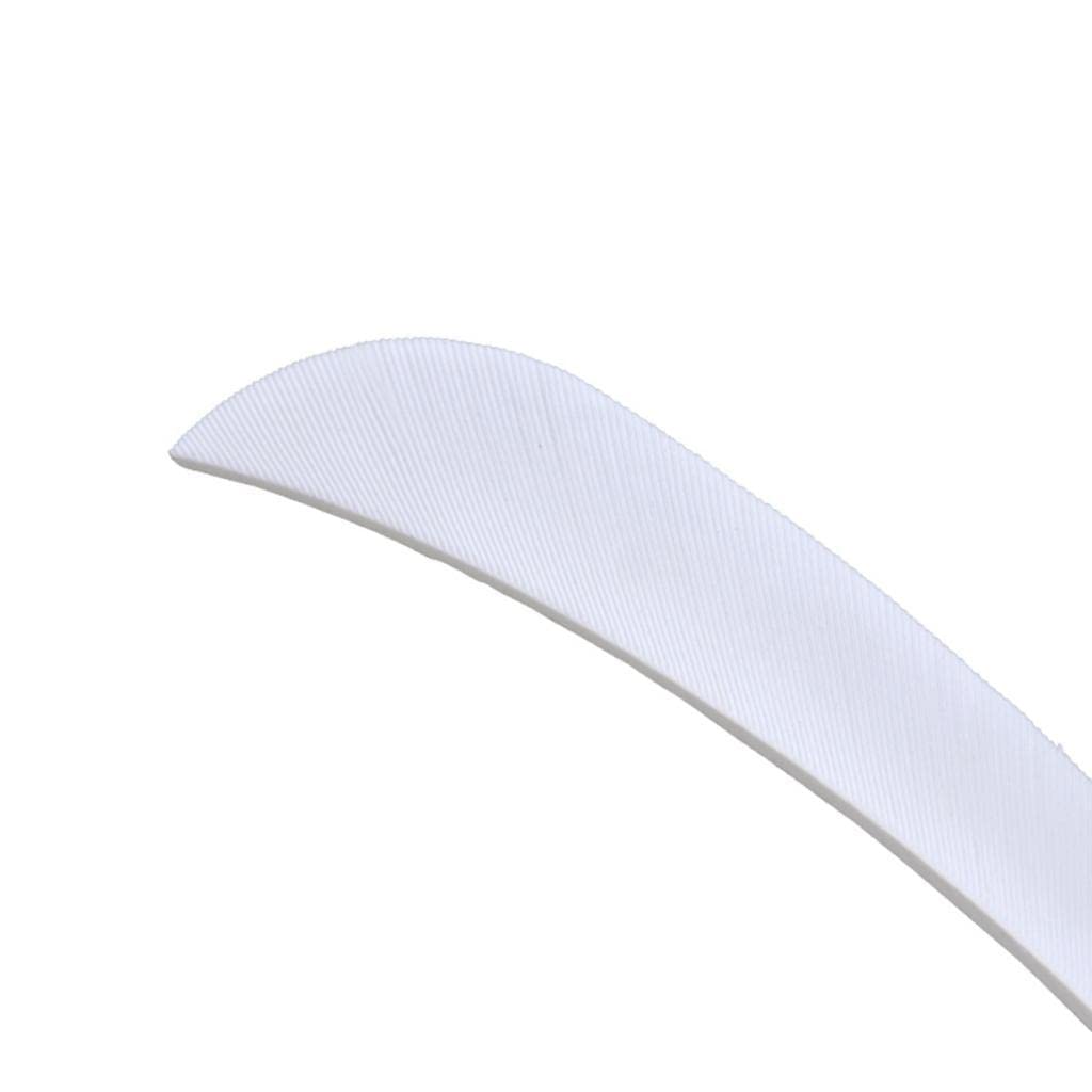 VELURA 12pcs 3inch Archery Arrow Turkey Feathers Fletchings Vanes White|12 Pieces Arrow | Fletches| Archery | Outdoor Sports |Sporting Goods 4