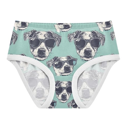 ZZKKO Sunglasses Dog Turquoise Background Girls Underwear Toddler Panties for Girls Comfort Brief Size 2T-8Y