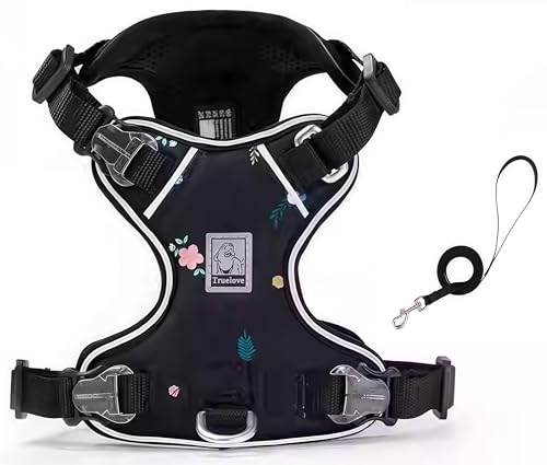 cocomall 2025ŐVn[lX[hZbg TRUE LOVE{X pփ[hZbg qpA^p ALpAiC 3Mˑf y ʋC _炩 bVybg ₷  ySȂ (ubN, XX