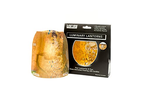 Modgy Luminary Lanterns Candle Holder Decorative Indoor Outdoor Decor, Lanterns For Wedding Centerpiece Decoration Outside Patio 4-Pack, With Flameless Floating Led Candles Portrait Of Adele #TOP3